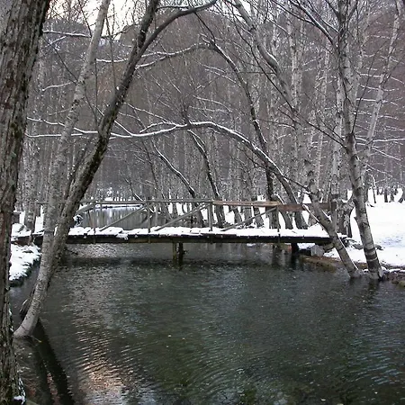 Hotel Senhora Do Espinheiro
