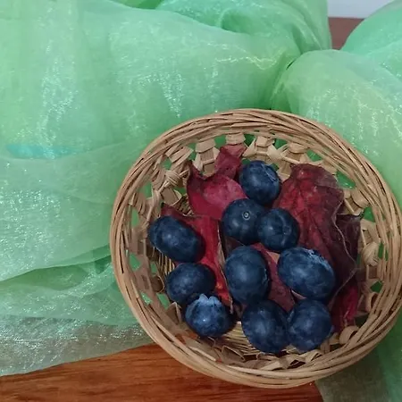 Senhora Do Espinheiro Hotel Seia