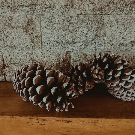 Senhora Do Espinheiro Hotel Seia