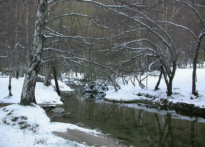 Отель Senhora Do Espinheiro