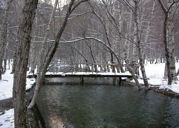 Отель Senhora Do Espinheiro
