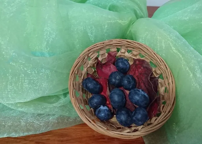 Senhora Do Espinheiro Отель Сейя