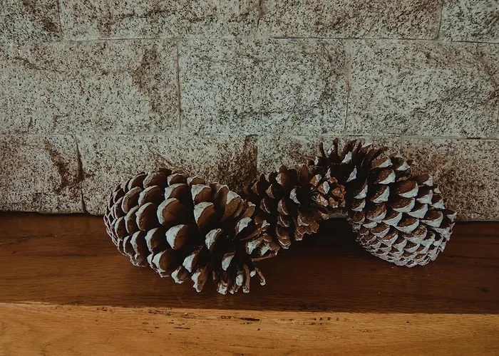 Senhora Do Espinheiro Отель Сейя